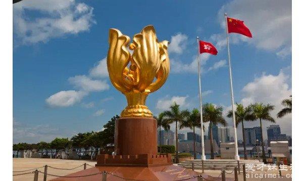 香港十个必须要去的景点 金紫荆广场代表着香港回归祖国