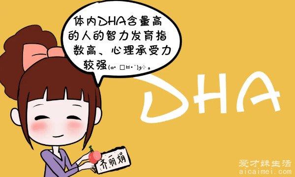 目前排名第一的dha是哪个？