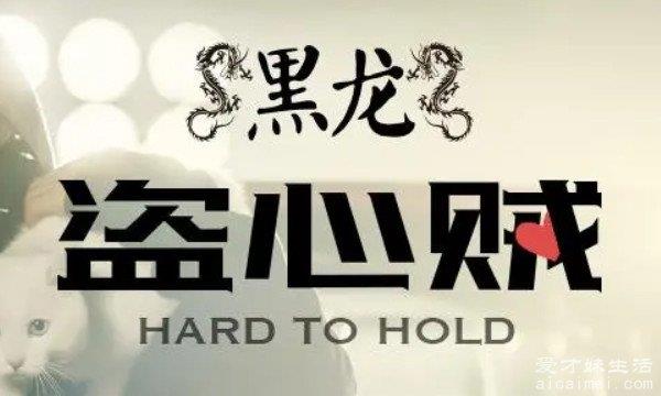 喊麦十大神曲 原唱六道的惊雷最火(歌的旋律很魔性)