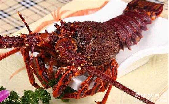 最贵龙虾十大排名，第一名法国蓝龙虾，平均200万只龙虾