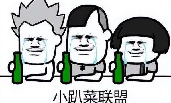 网络用语小趴菜是什么意思？