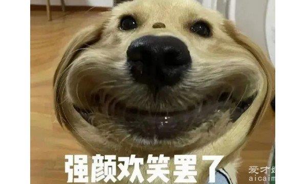 网络用语老6是什么意思，大冤种是指做了傻事的人