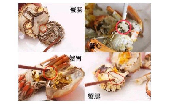 吃完螃蟹，千万别碰5种食物，尤其是第3种，很多人还不知道