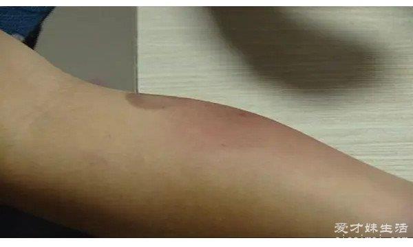 你见过世界上最毒的蜈蚣吗？家里放一物绝对没蜈蚣