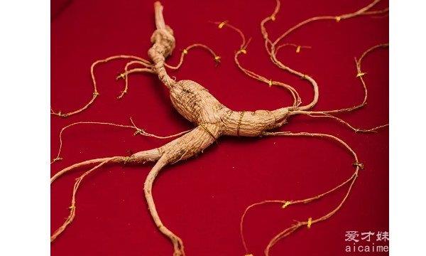 吉林长白山野山参的价格是多少？
