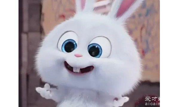 当某人的头是兔子头，你知道兔子头像意味着什么吗？