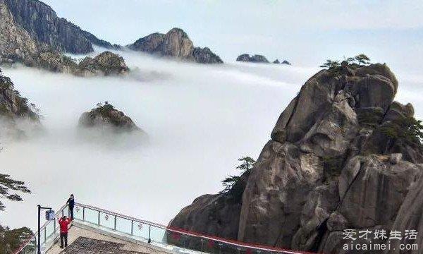 黄山四大奇观：奇松、怪石、云海、温泉，你去过几个？