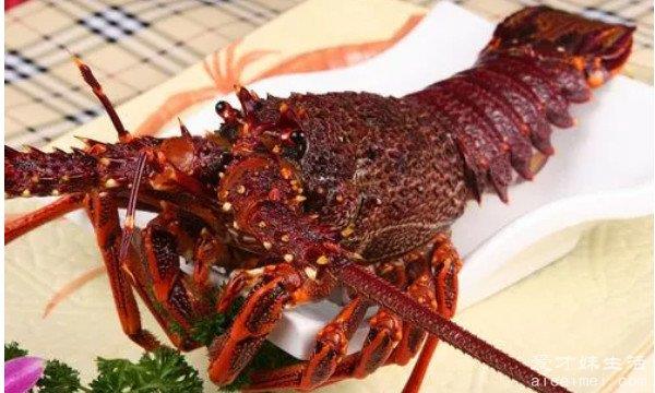 世界上最贵的龙虾，你知道吗？