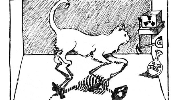 薛定谔的猫是什么意思 是薛定谔的实验（鼓励尝试新事物）