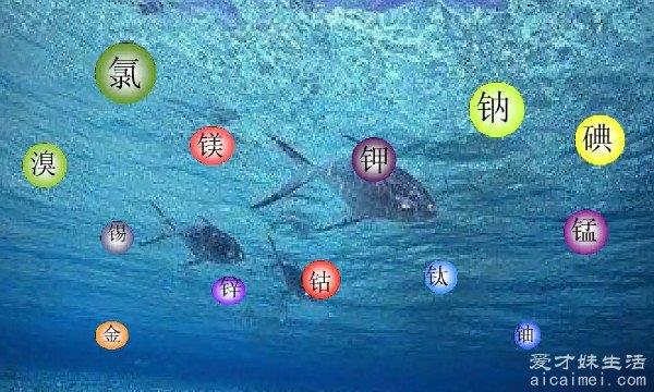 海水中最丰富的元素是什么？