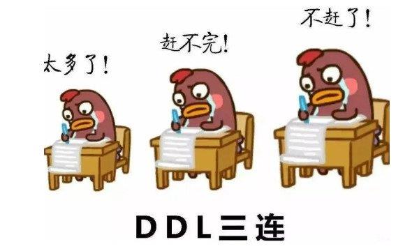 你知道网络用语ddl是什么意思吗？