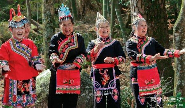 你知道畲族是哪个省的少数民族吗？