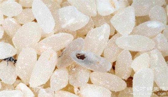 生米用什么方法除虫？3种解决大米生虫的问题