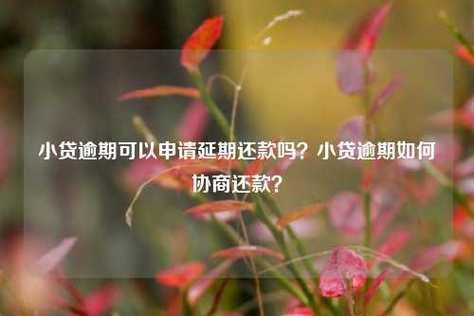 你我贷可以协商延期还款吗？